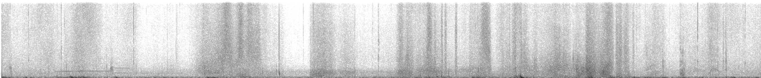 Черноклювая гагара - ML645005166