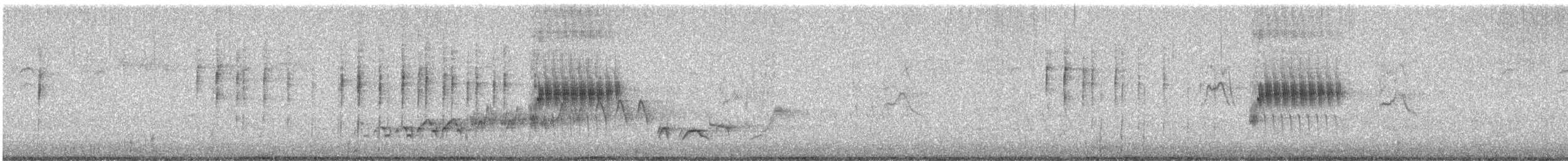 Пурпурная чечевица (californicus) - ML645005230