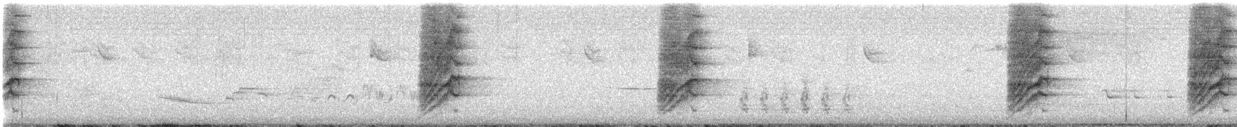 Калифорнийская сойка - ML645006012