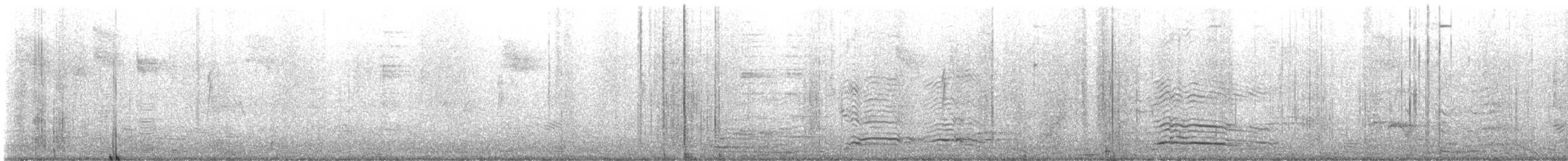 Алленов колибри - ML645006197