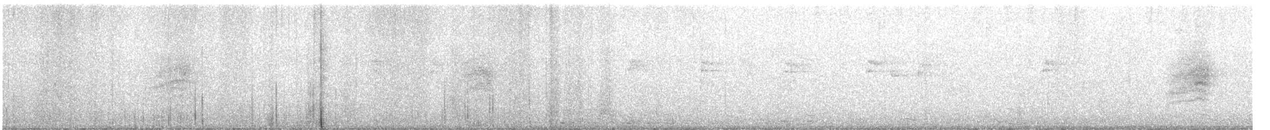 Western Warbling Vireo - ML645006878