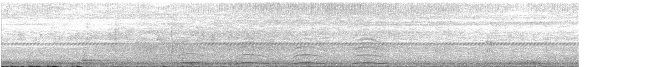 Eurasian Collared-Dove - ML645007871