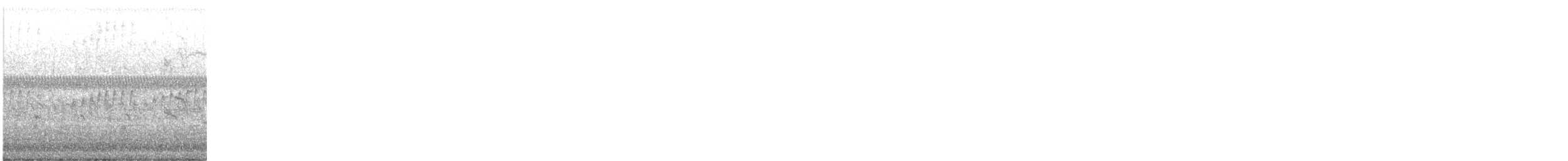 Tropical Kingbird - ML645008156