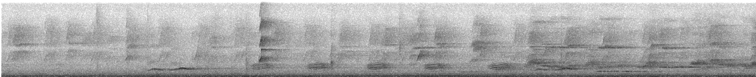 Pacific Koel - ML645008341