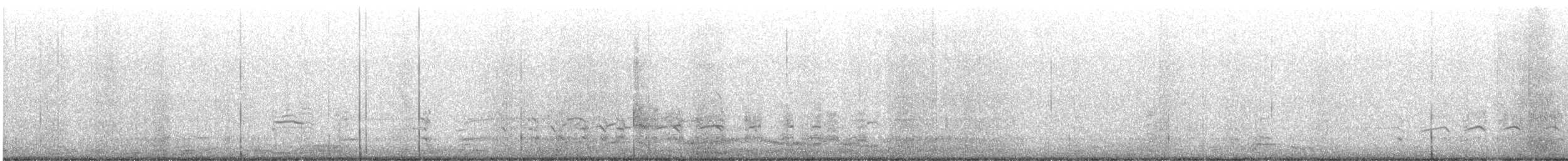 American Herring Gull - ML645011014