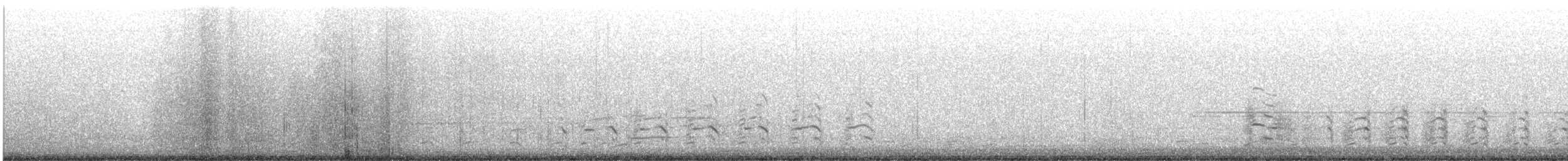 American Herring Gull - ML645011015