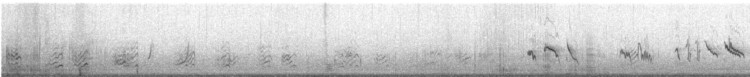 Crested Lark (Crested) - ML645011125