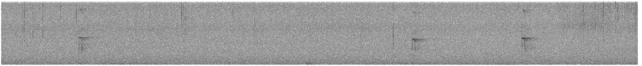 strakapoud americký - ML645012564