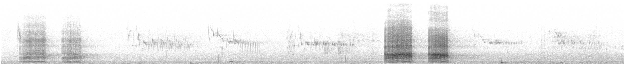 Cuervo Desertícola - ML645012600