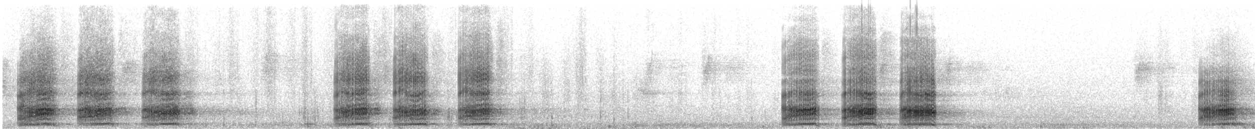 Cuervo Desertícola - ML645012601