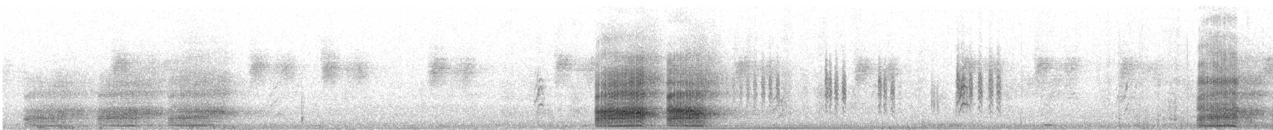 Cuervo Desertícola - ML645012602