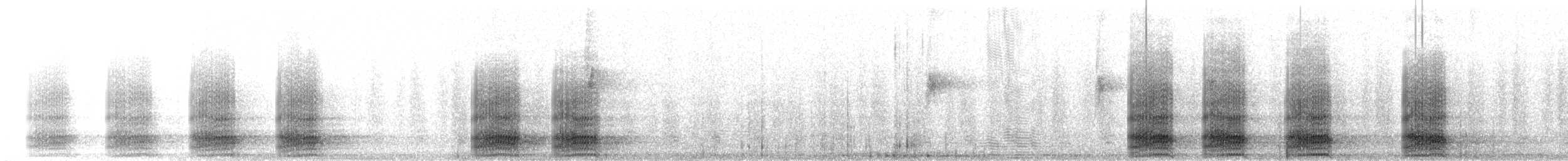 Cuervo Desertícola - ML645012603