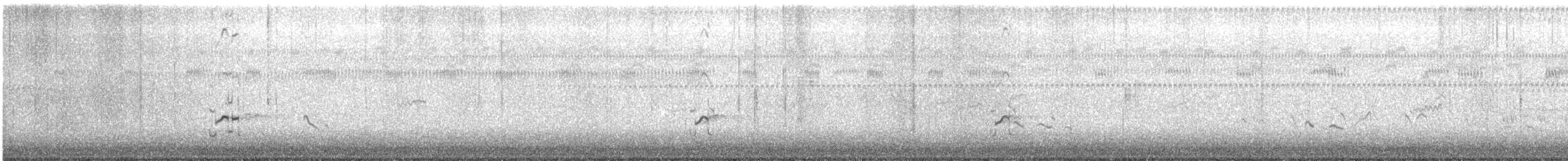 Chorlito Dorado Americano - ML645012805