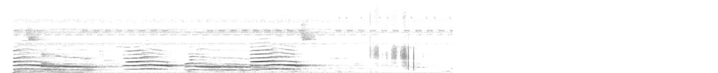 Pavo Real Común - ML645012850