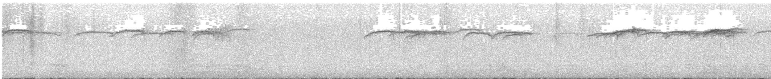 Ampelis Americano - ML645012866