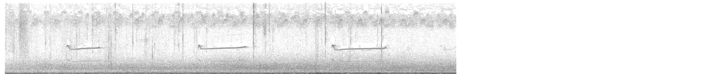 Chorlitejo Culirrojo - ML645012976