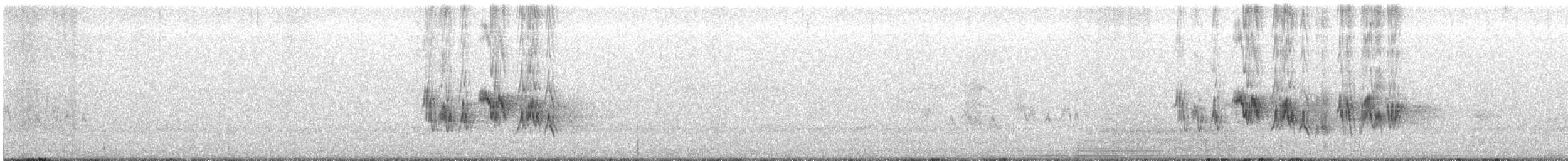 Collalba Abisinia - ML645013197