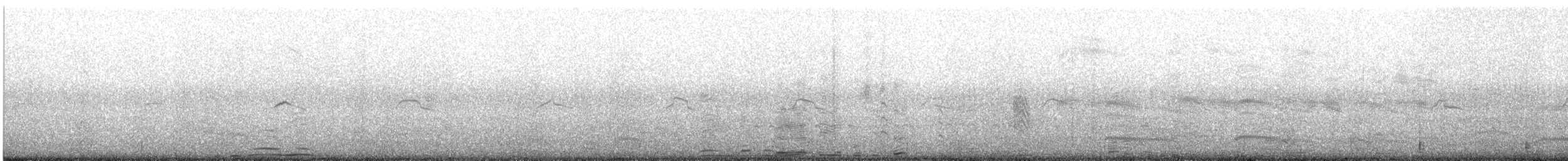 Ave sp. - ML645013252