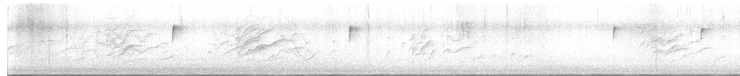 Jilguero Yanqui - ML645013345