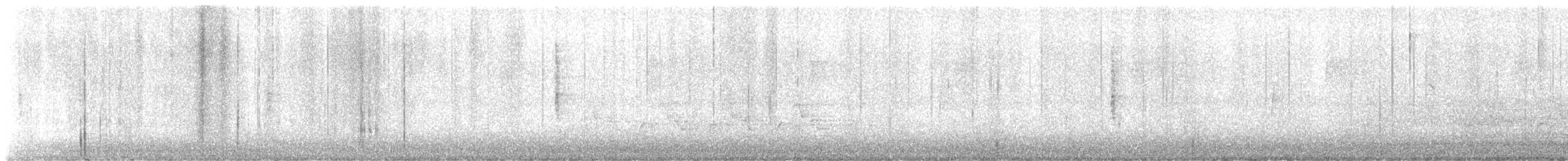 Reinita de Wilson - ML645013383