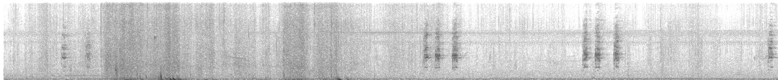 Пастушок віргінський - ML645013466