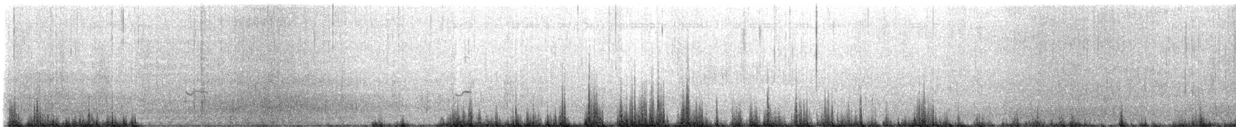 Chorlito Dorado Americano - ML645013580