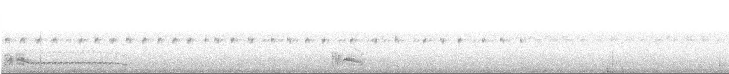 Swainson's Flycatcher - ML645013727