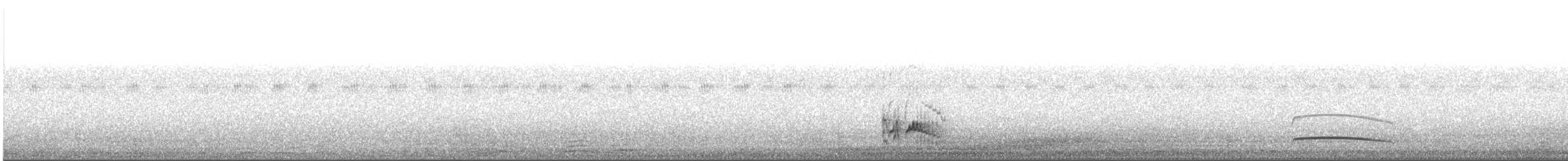 Swainson's Flycatcher - ML645013728