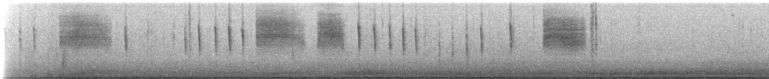 Black-tailed Gnatcatcher - ML645014007