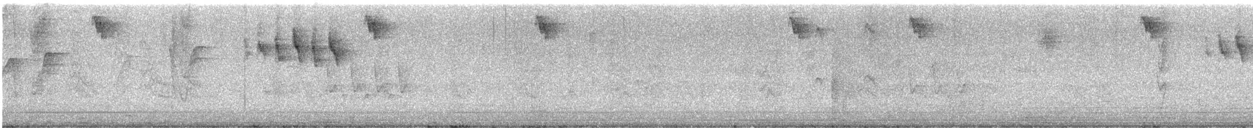 Cinereous Conebill - ML645014041