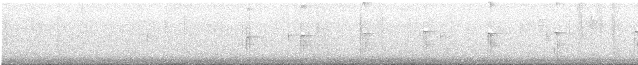 Hairy Woodpecker - ML645014085