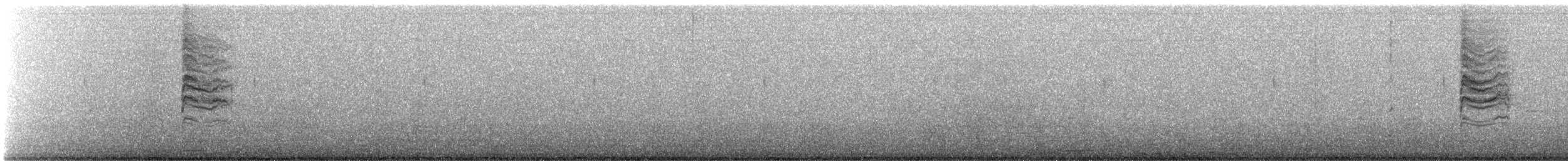 Blue-gray Gnatcatcher (Western) - ML645014089