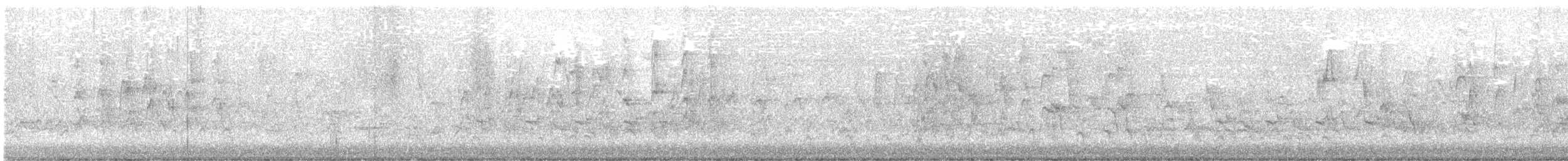 American Robin - ML645014307