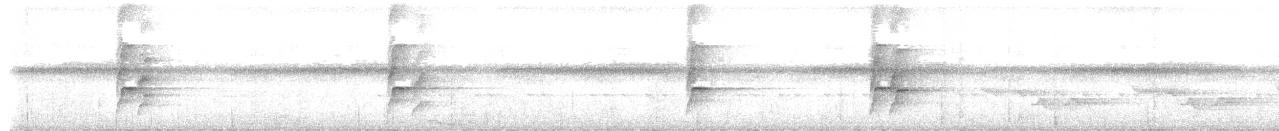 Zeledon's Antbird - ML645014387