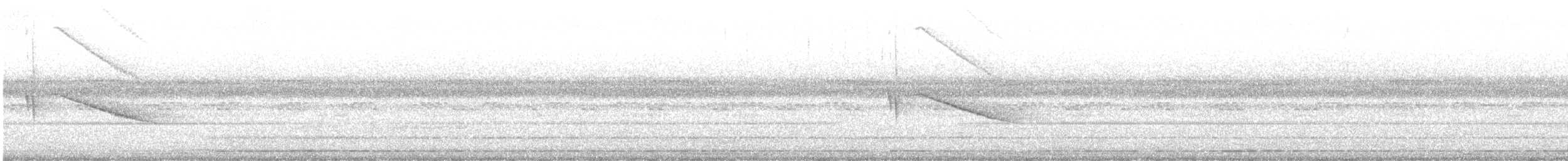 White-tailed Nightjar - ML645016028