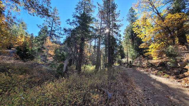 Laguna Mtns.--Agua Dulce Creek/Wooded Hill, San Diego, California, United  States - eBird Hotspot