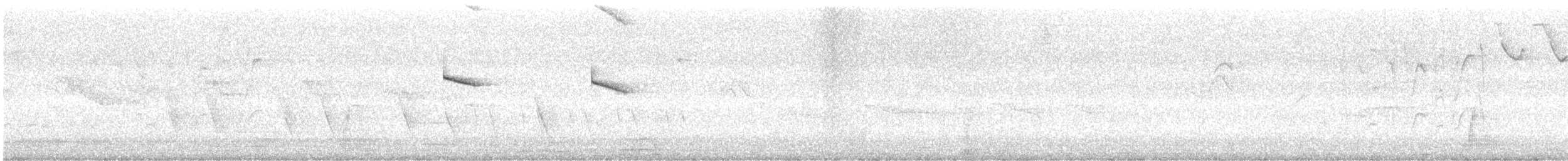 kolibřík Amazilin - ML645016882