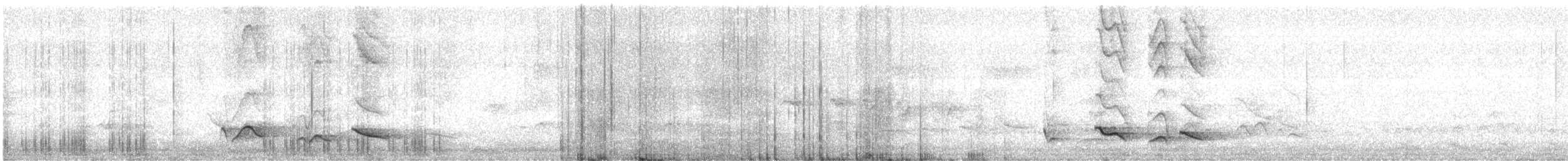 Papageischnabelsaltator - ML645018358