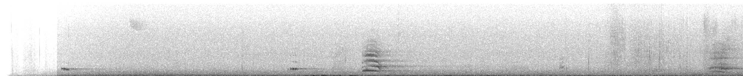 Common Raven - ML645018518