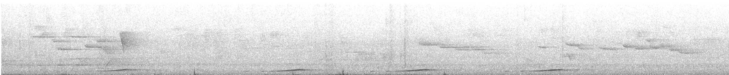 Maronentaube - ML645018520