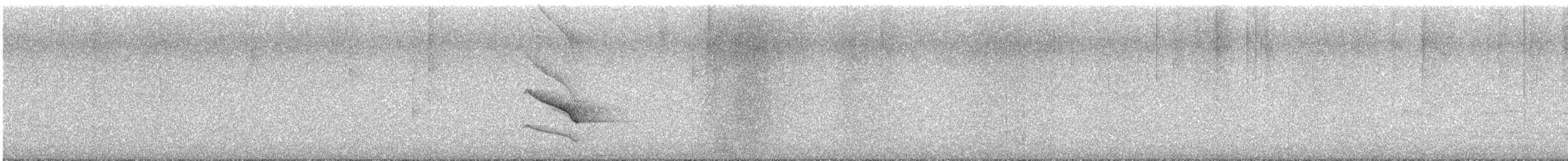 Schwanzbindenpipra - ML645018549