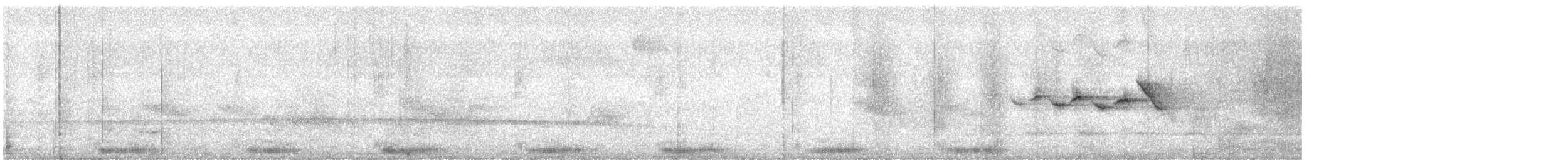 Fleckenarassari - ML645018653