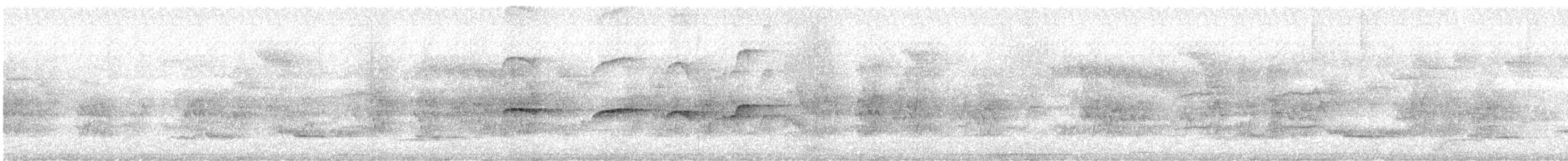 Schwarzbrusttyrann - ML645018691