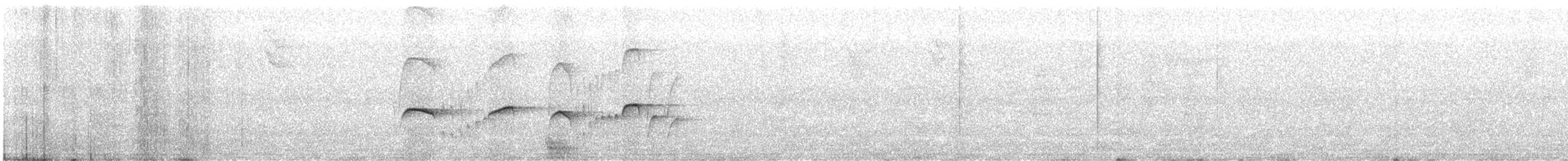 Schwarzbrusttyrann - ML645018739