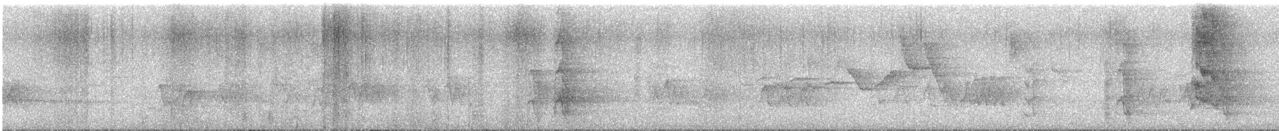 Maximilianpapagei - ML645018789