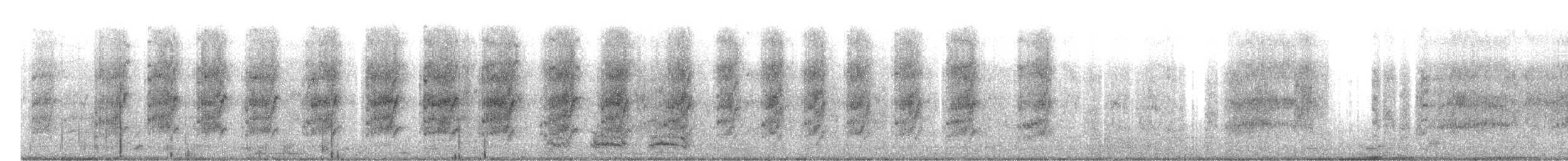 Blaustirnamazone - ML645018840