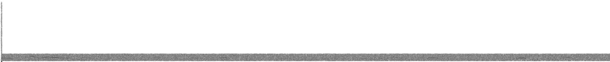 Zwergschwan - ML645018847