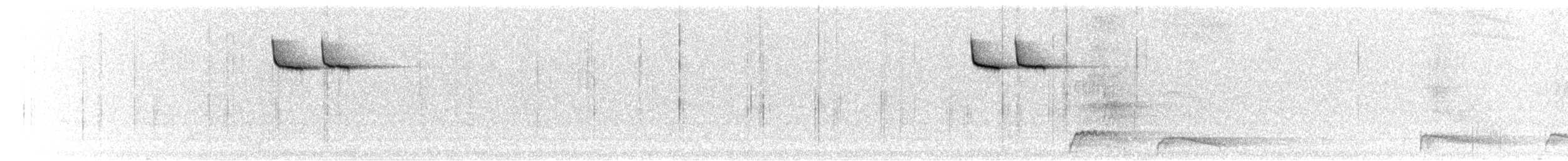 Amerikabaumläufer - ML645019227