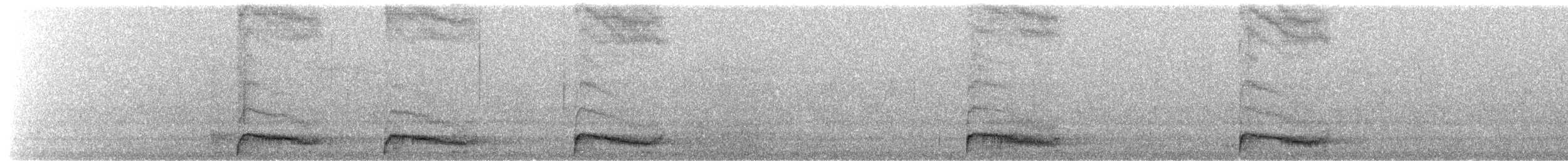 道格拉斯松鼠 - ML645019256