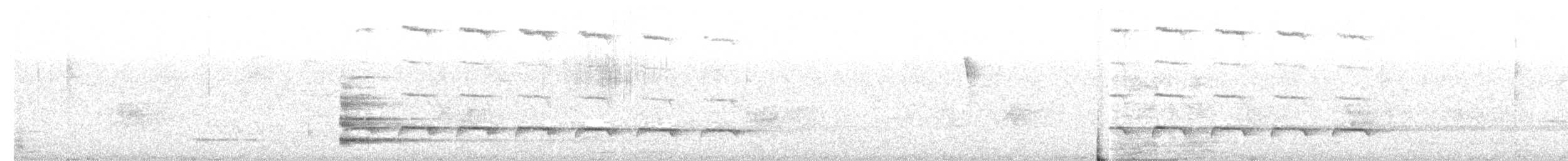 Weißbinden-Ameisenvogel - ML645019502